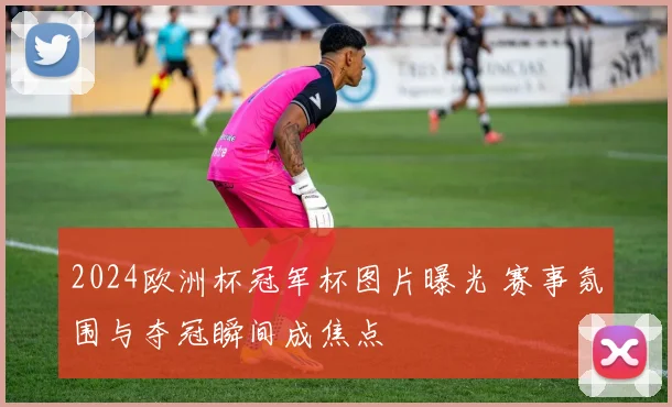 2024欧洲杯冠军杯图片曝光 赛事氛围与夺冠瞬间成焦点