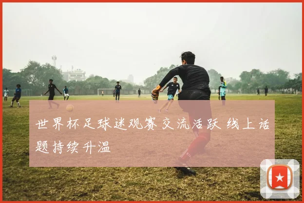 世界杯足球迷观赛交流活跃 线上话题持续升温